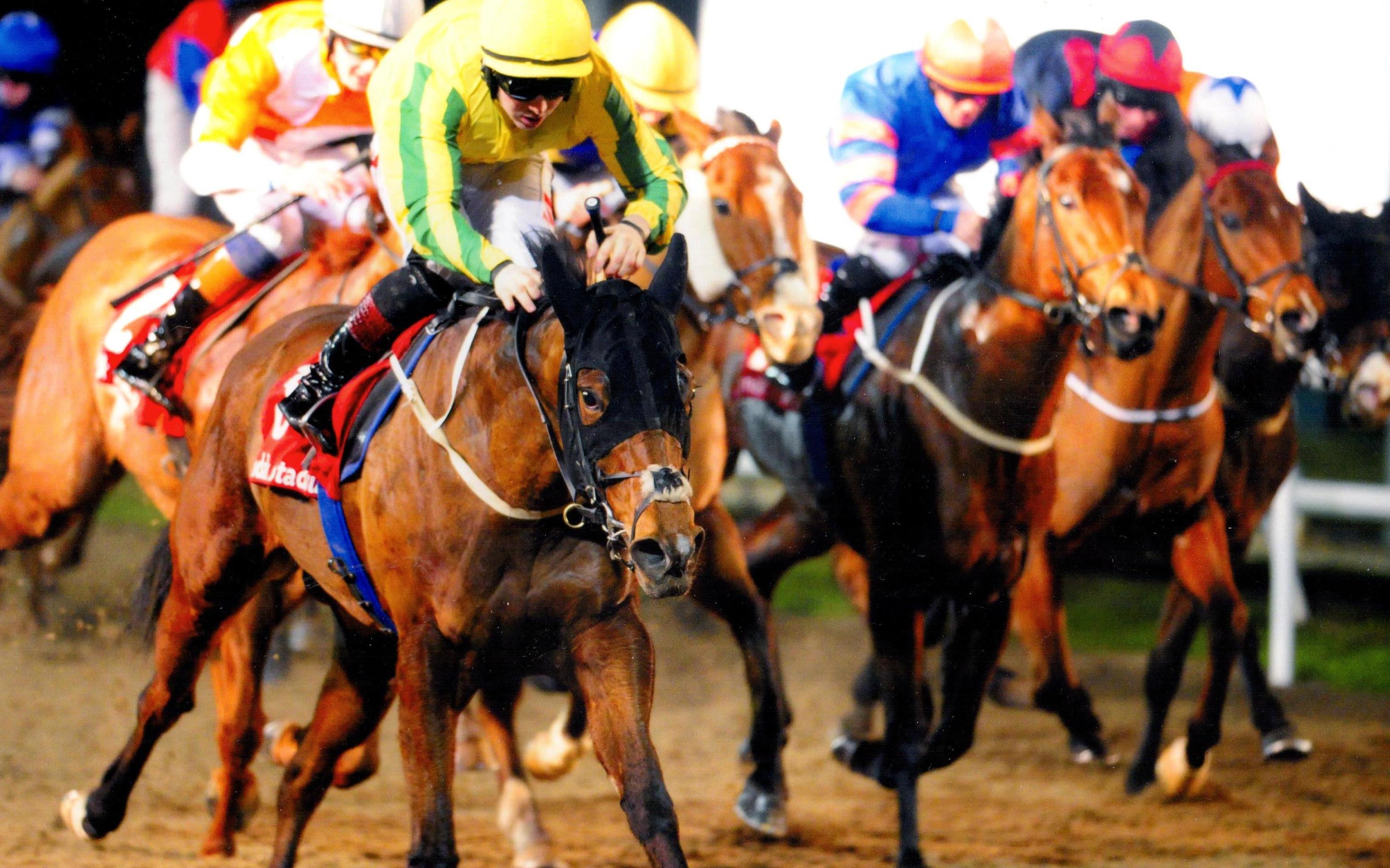 COCOA BEACH wins in impressive fashion at Dundalk 6th January 2017